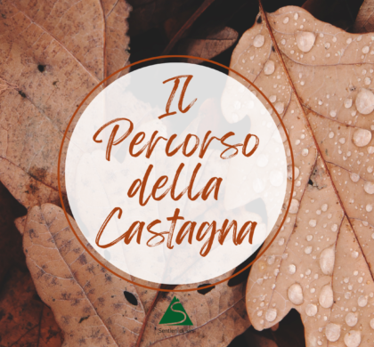 Escursione – Il percorso della castagna