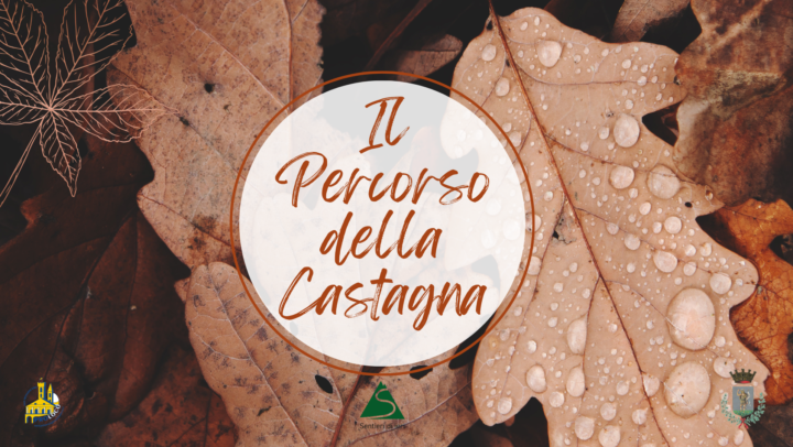 Escursione – Il percorso della castagna