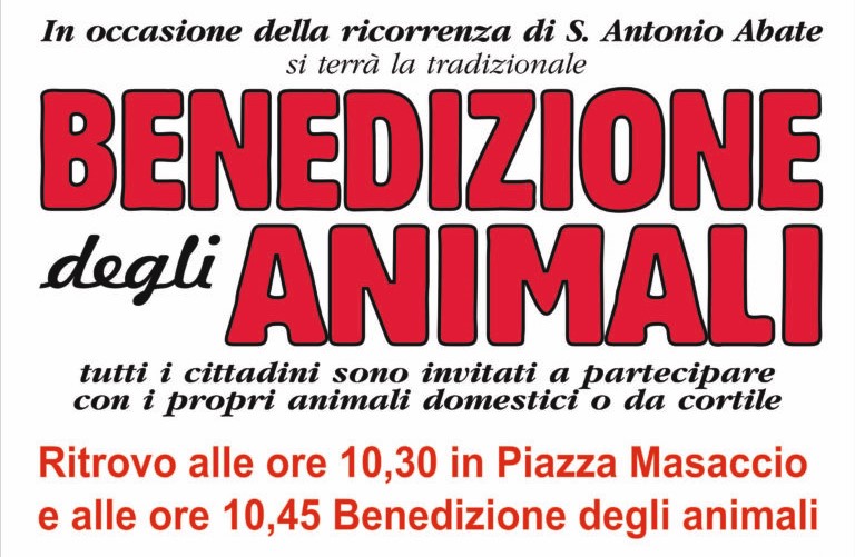 Benedizione degli animali e San Giovanni Antiqua